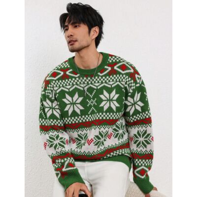 Men Casual Loose Fit Christmas Tree & Bear Graphic Sweater,Autumn/Winter